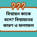 বিশ্বায়ন কাকে বলে? বিশ্বায়নের কারণ ও ফলাফল